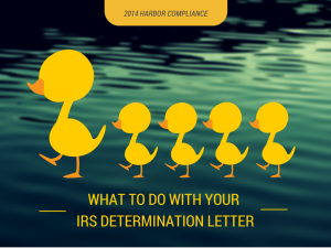 Nonprofit compliance doesn't end with your determination letter.